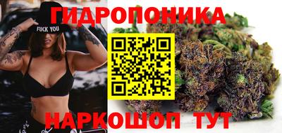 спайс Берёзовский
