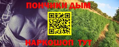спайс Берёзовский