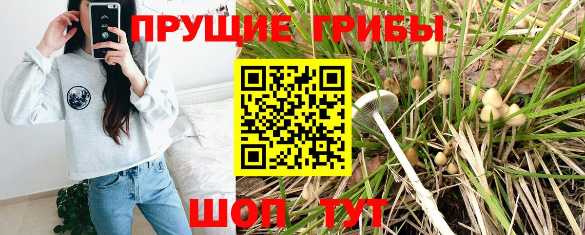 Псилоцибиновые грибы ЛСД Гулькевичи