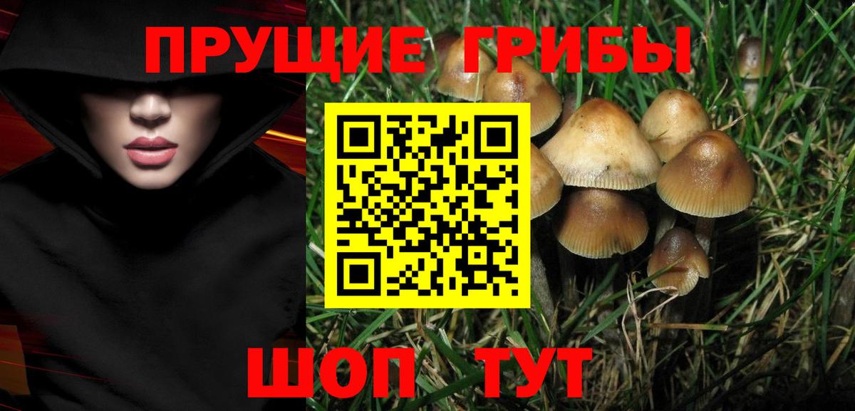 Галлюциногенные грибы мицелий  Вход с VPN  Гулькевичи 